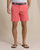 Sunkist Coral
