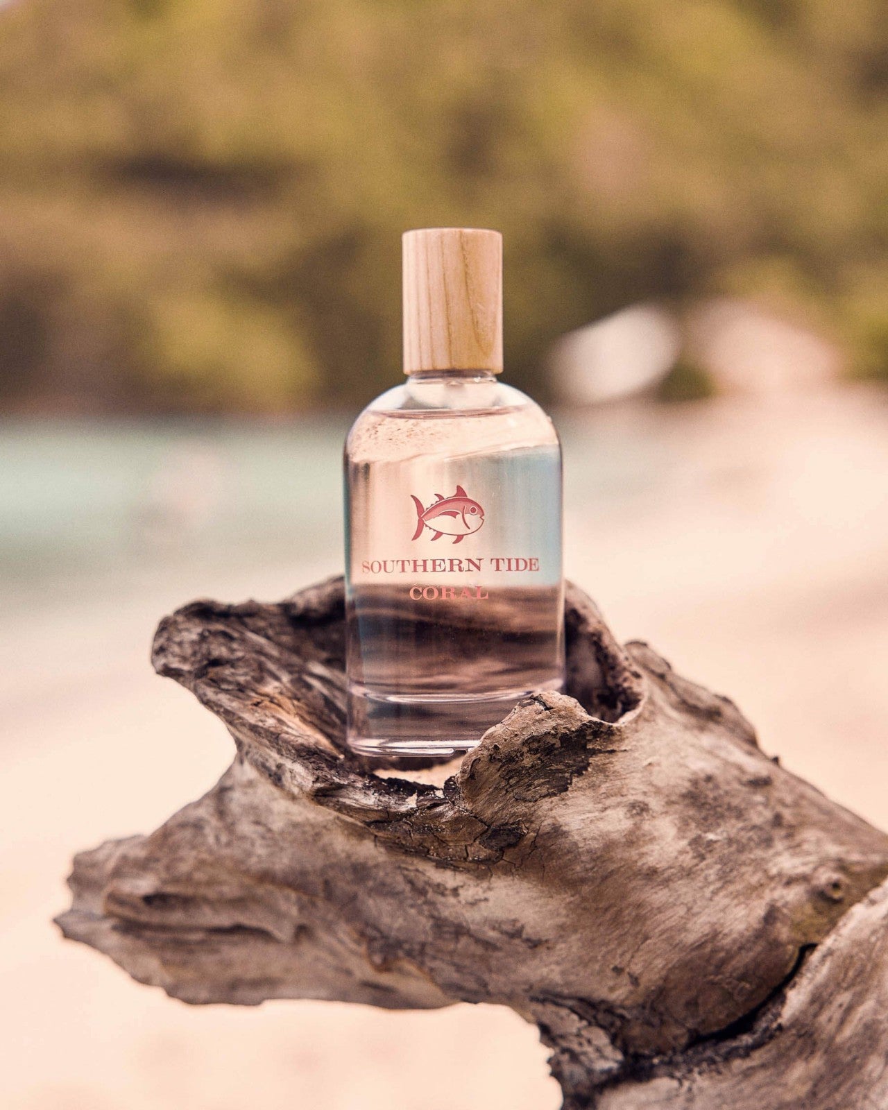 Southern Tide Coral Fragrance Southern Tide Discounted