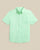 Green Ash